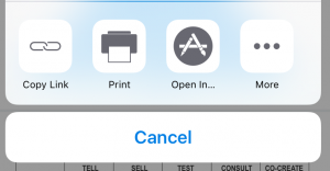 IMG 3924 Copy 300x156